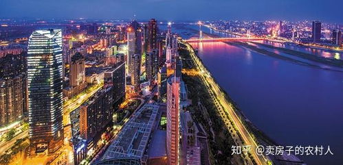 南昌紅谷灘區(qū)九龍湖板塊的詳細介紹